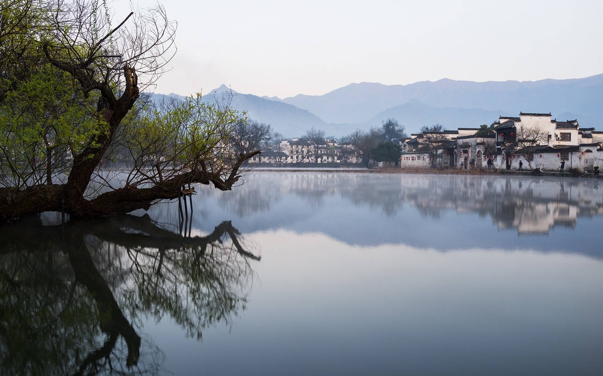 信用网怎么注册_国际旅行社注册条件相关注册步骤怎么办理